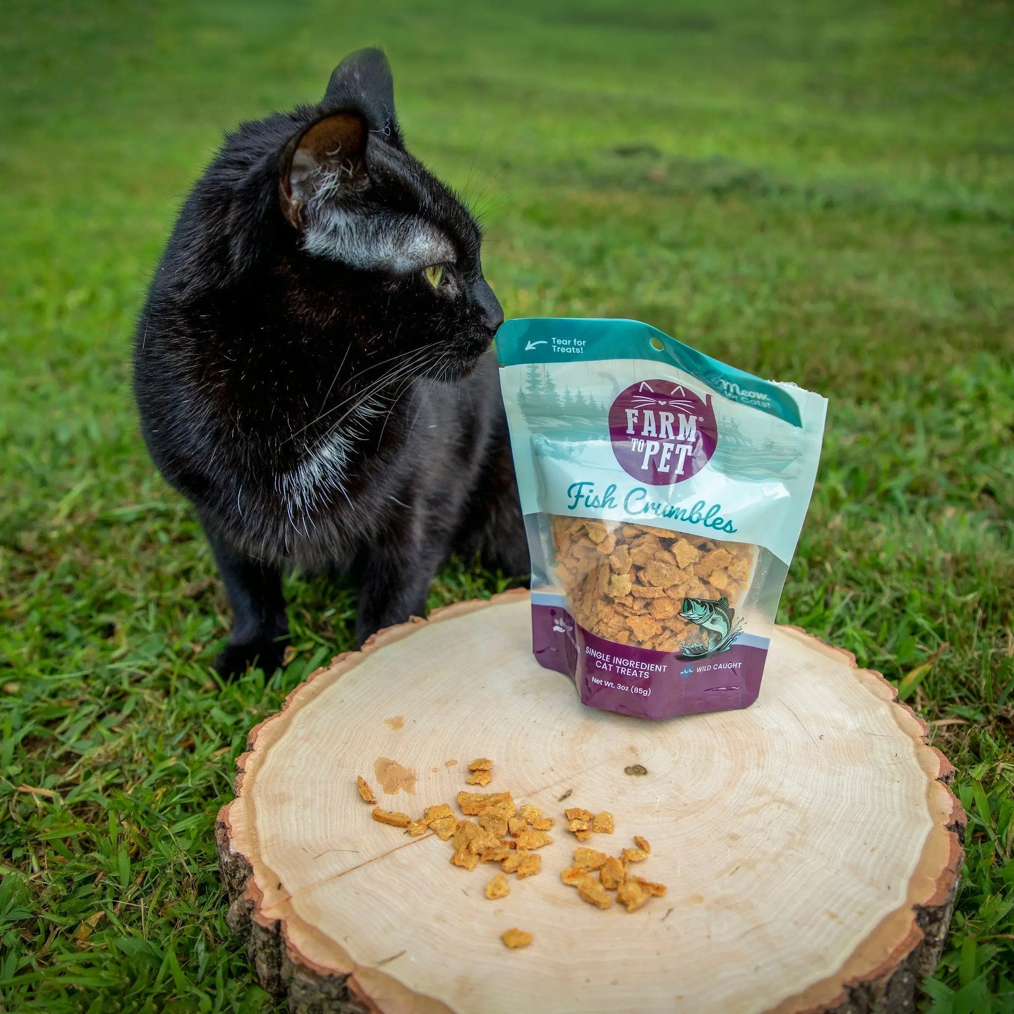 Cat Treats