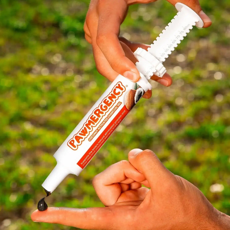 First Aid