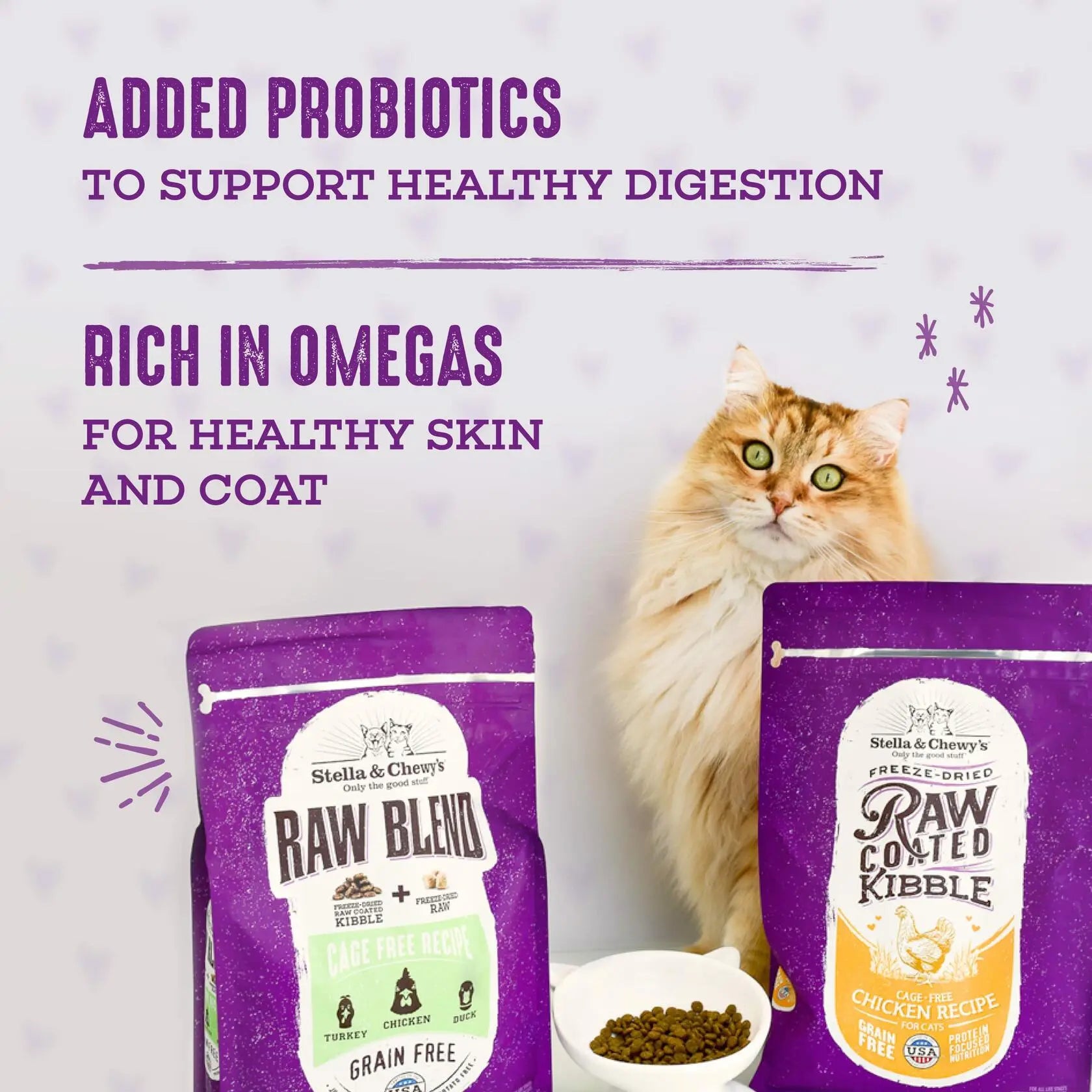 Cat Food
