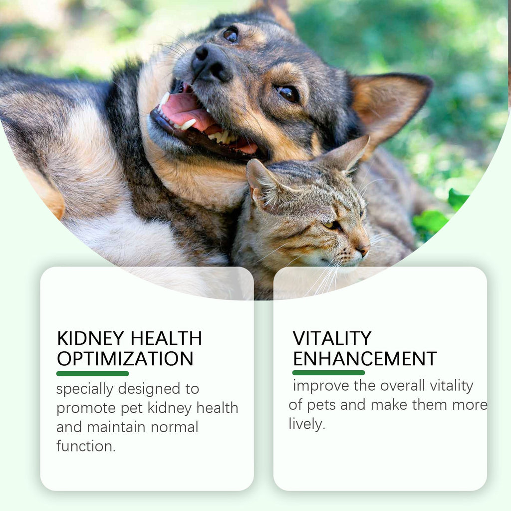 Pet Care Supplement To Enhance The Health Of Pets Gentle Ingredient Care Supplement
