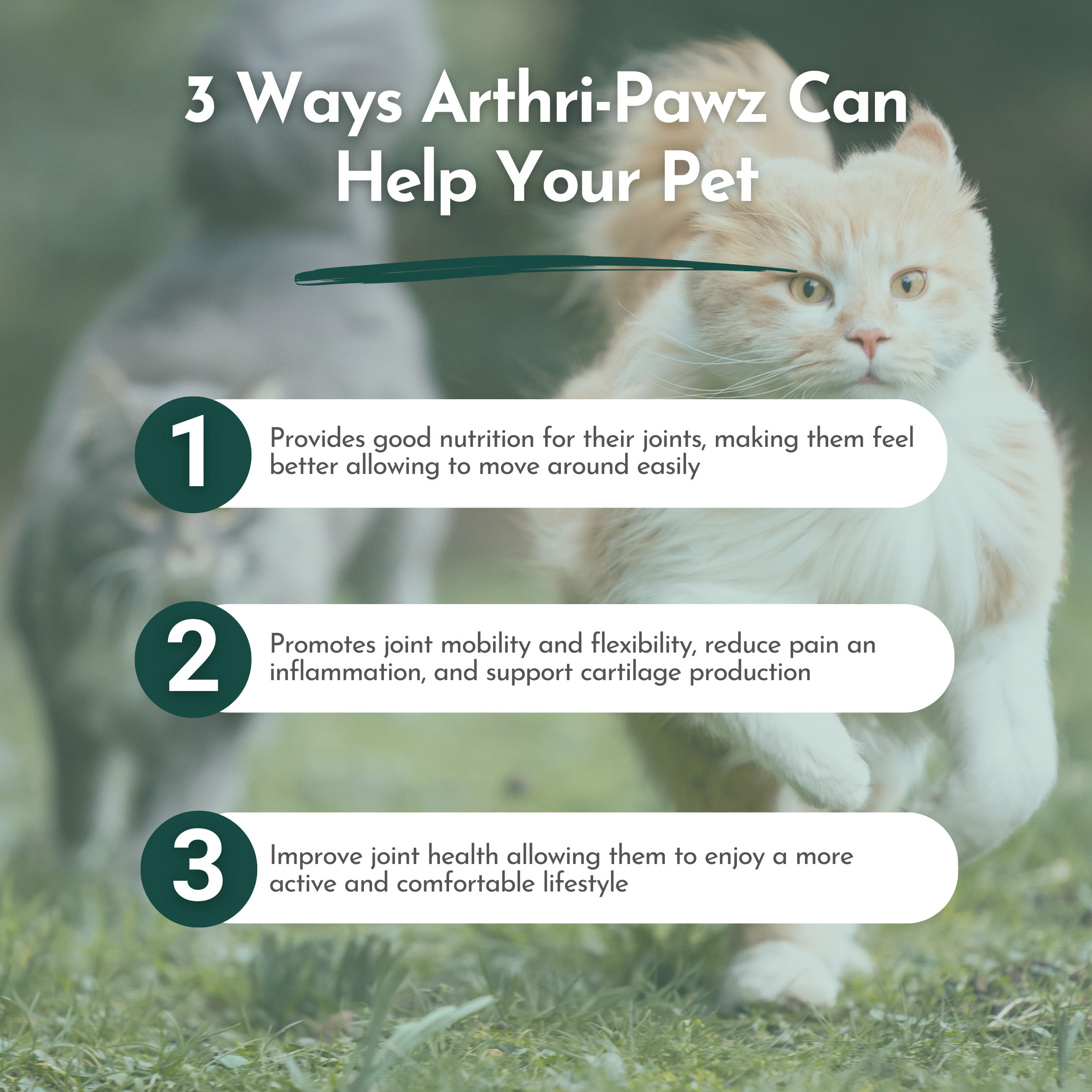 Arthri-Pawz – with Glucosamine for Cats and Dogs Dr. Ruth Roberts