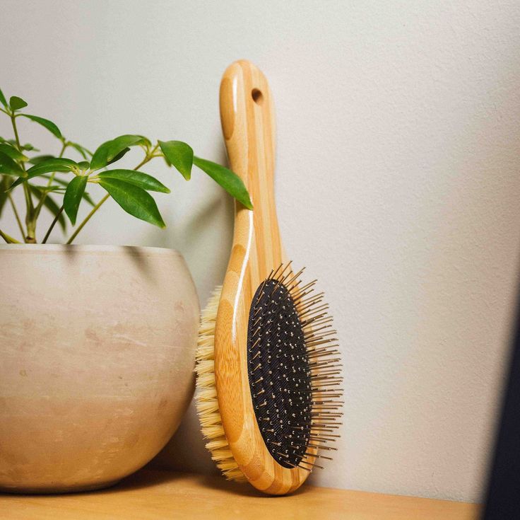 Tilley + Me Two-Sided Pet Brush – Bristle & Wire for Shedding & Detangling