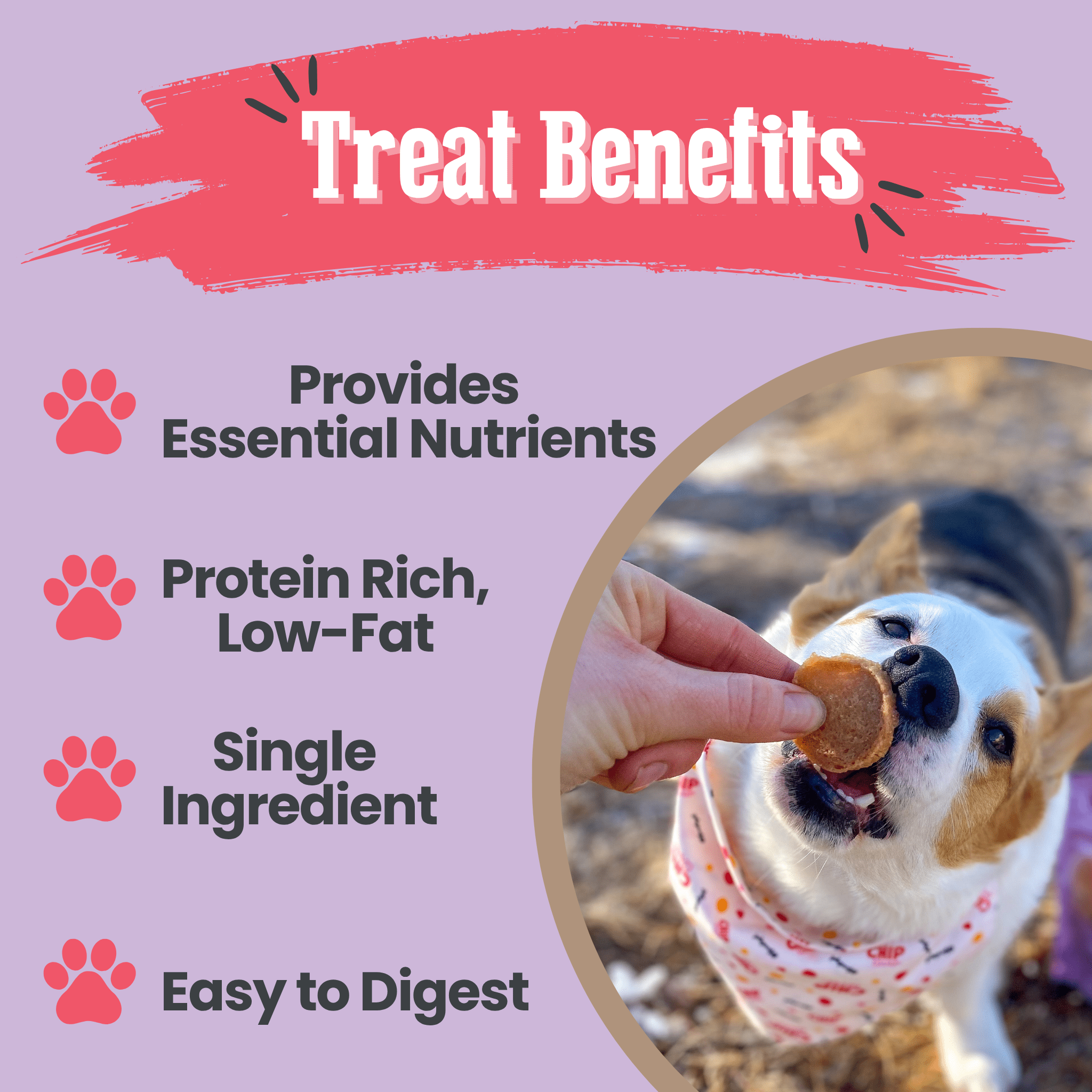 Single Ingredient Puppy Love Dog Treat Duo | Poultry Chip Variety Pack Farm To Pet