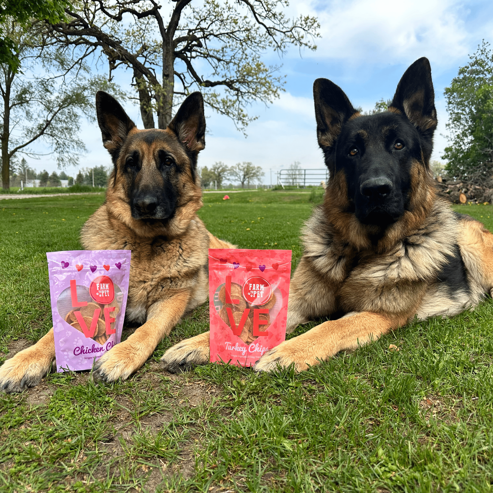 Single Ingredient Puppy Love Dog Treat Duo | Poultry Chip Variety Pack Farm To Pet