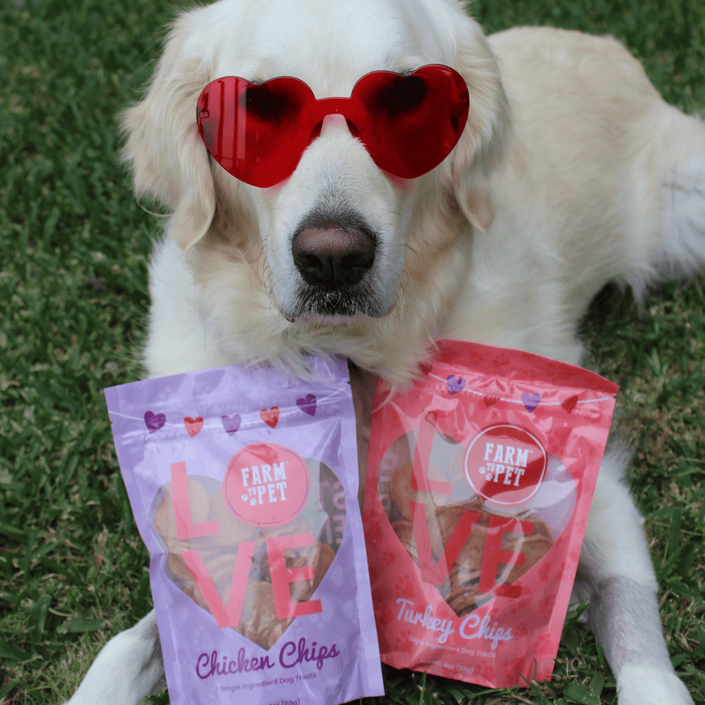 Single Ingredient Puppy Love Dog Treat Duo | Poultry Chip Variety Pack Farm To Pet