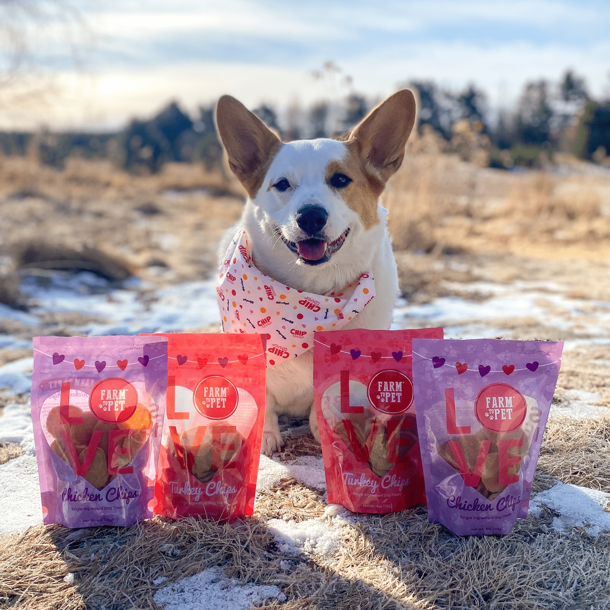 Single Ingredient Puppy Love Dog Treat Duo | Poultry Chip Variety Pack Farm To Pet