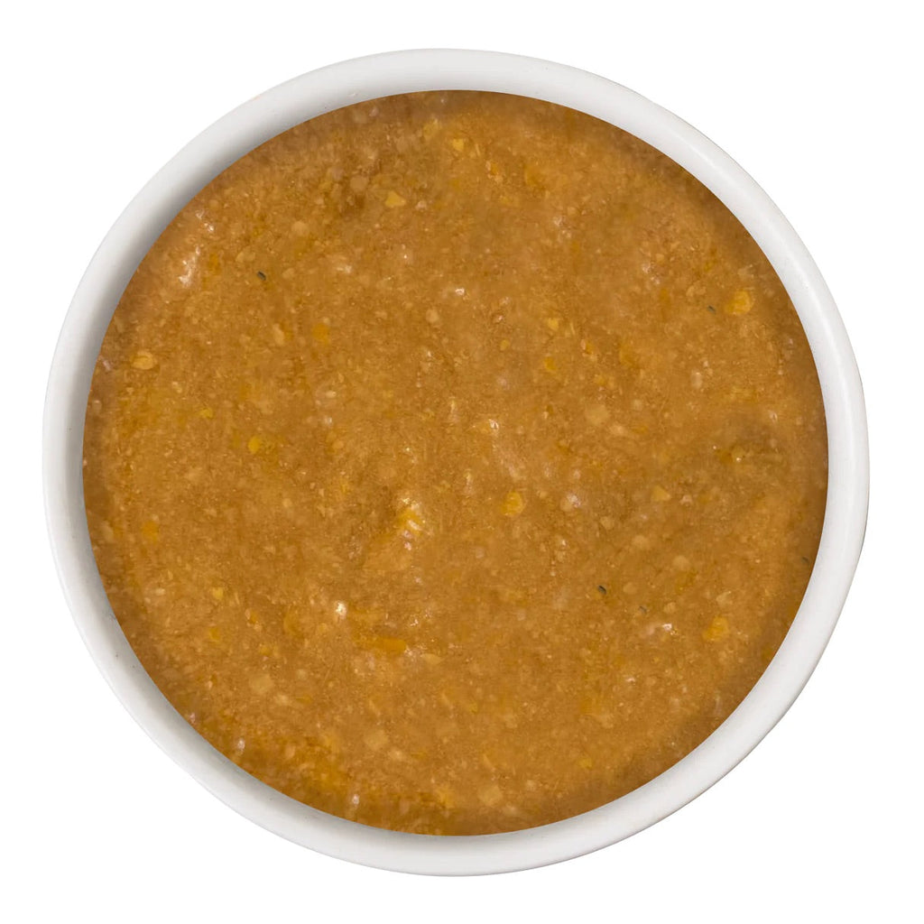 Cat Person Cat Supplement Immune Support Turkey & Salmon 1.05oz The Family Pet