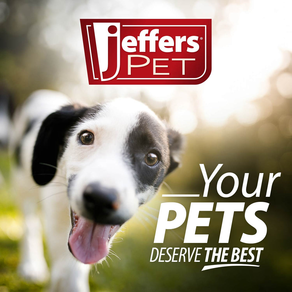 Jeffers Pet Apple Oatmeal All-Natural Hypoallergenic Dry Skin Shampoo for Dogs and Cats