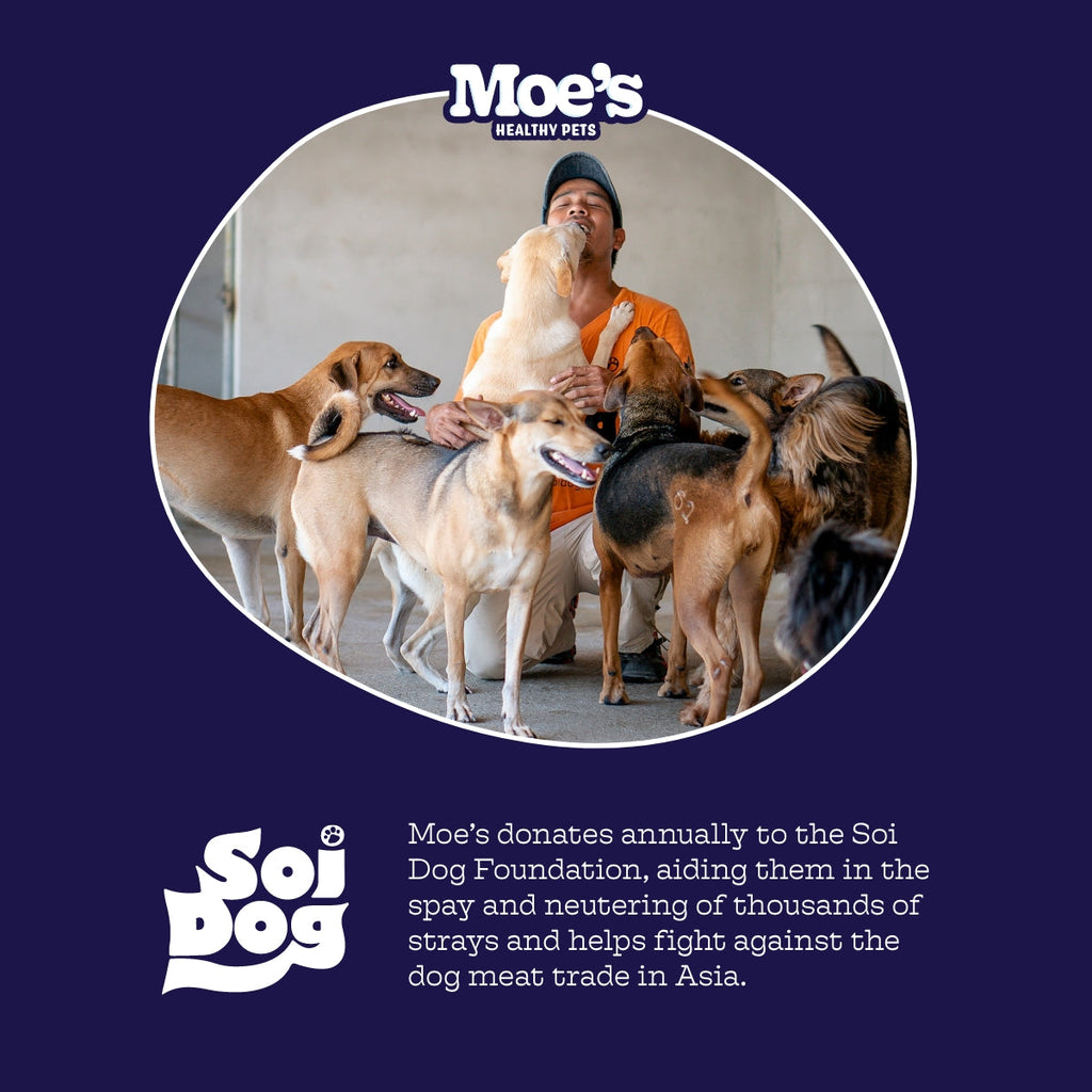 Hip & Joint Chews Moe's Healthy Pets