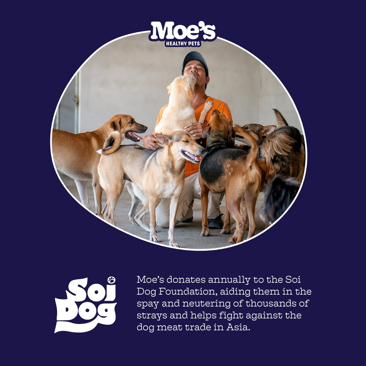 Hip & Joint Chews Moe's Healthy Pets