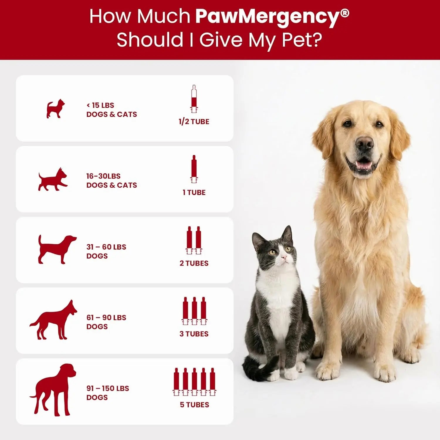 Pawmergency Activated Charcoal Pet First Aid Kit –Poison Rescue 2 Pack (30ml)