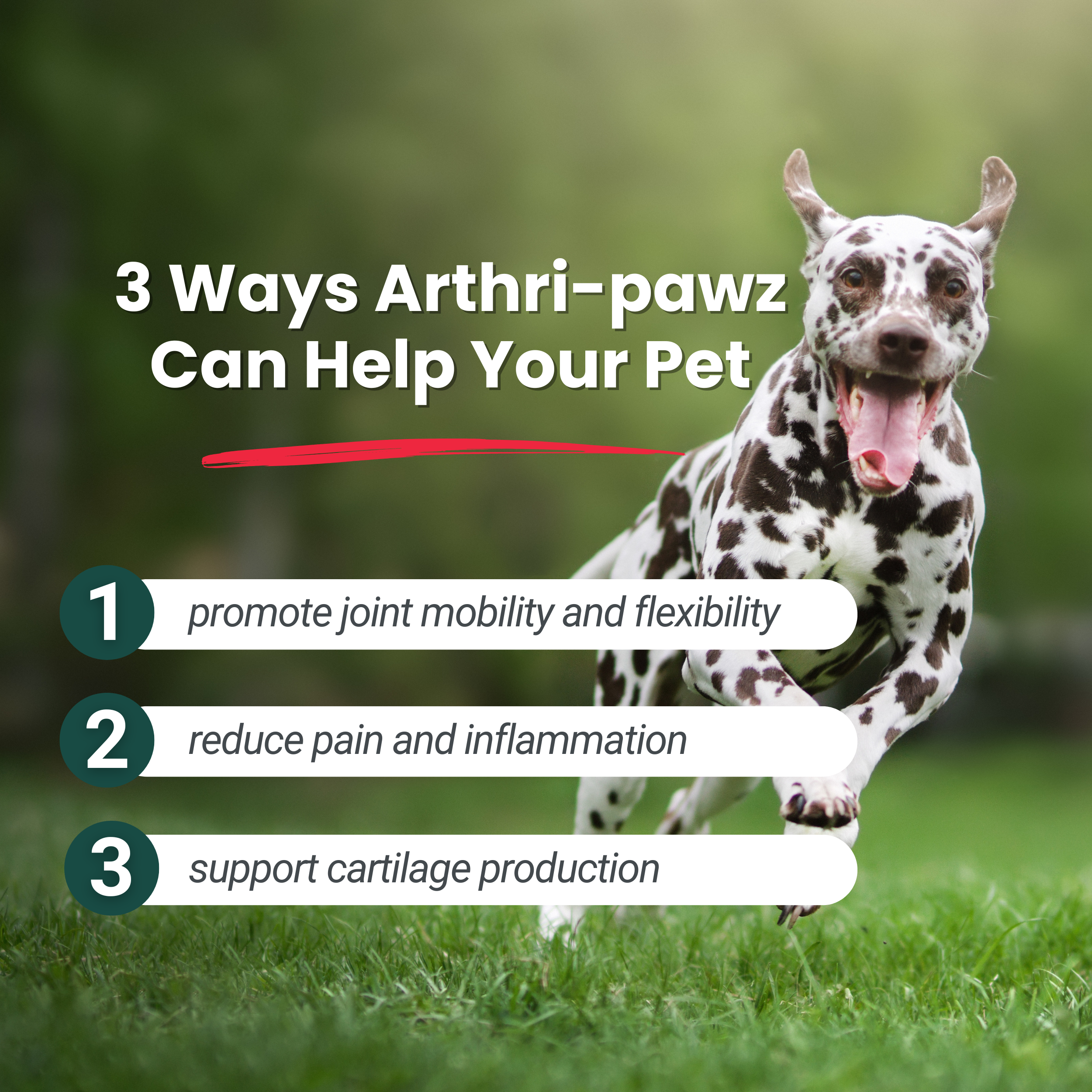 Arthri-Pawz – with Glucosamine for Cats and Dogs Dr. Ruth Roberts