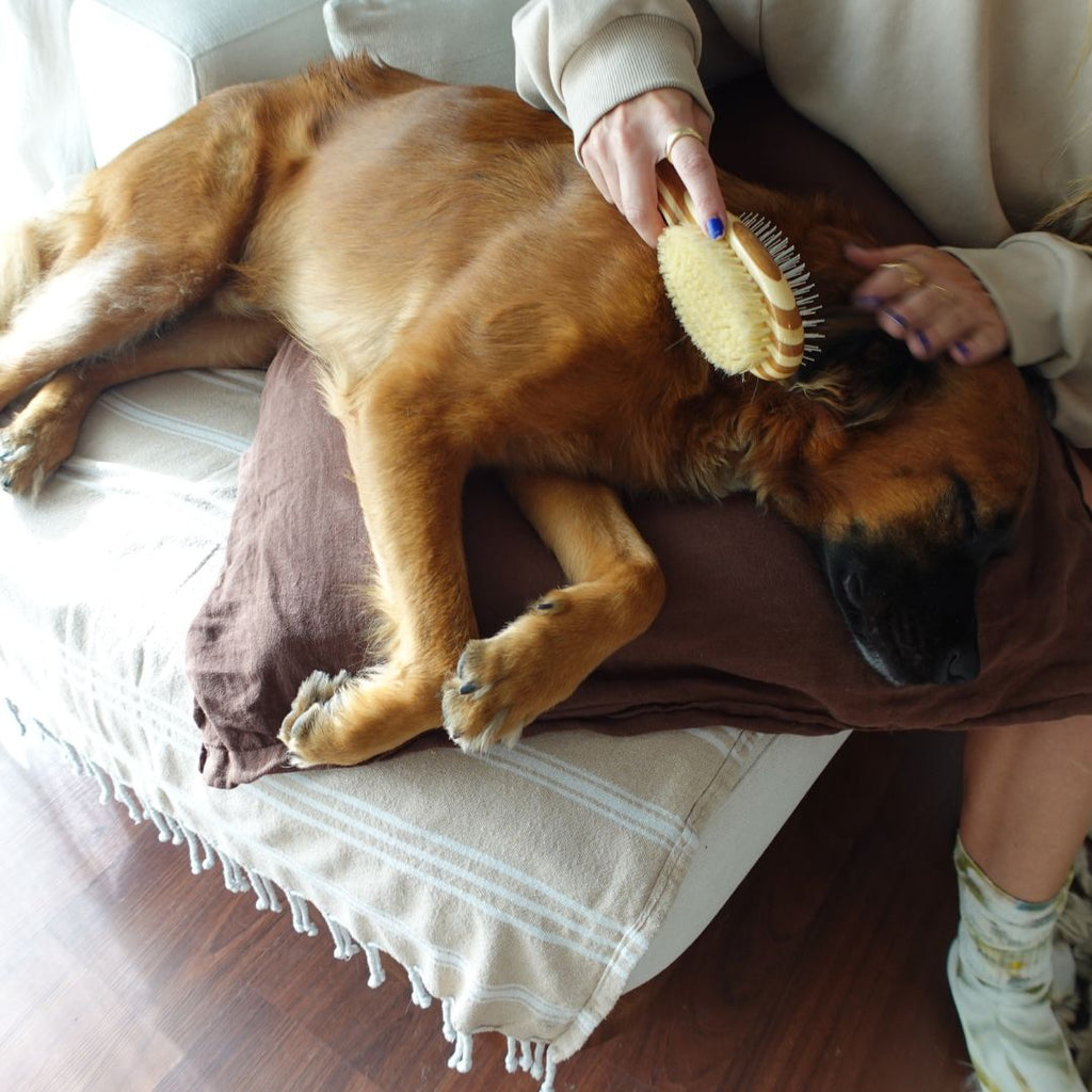 Tilley + Me Two-Sided Pet Brush – Bristle & Wire for Shedding & Detangling