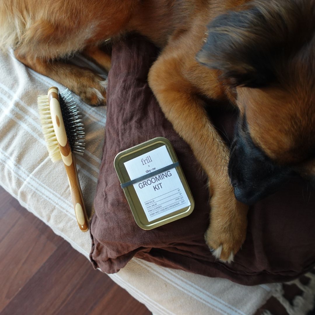 Tilley + Me Two-Sided Pet Brush – Bristle & Wire for Shedding & Detangling