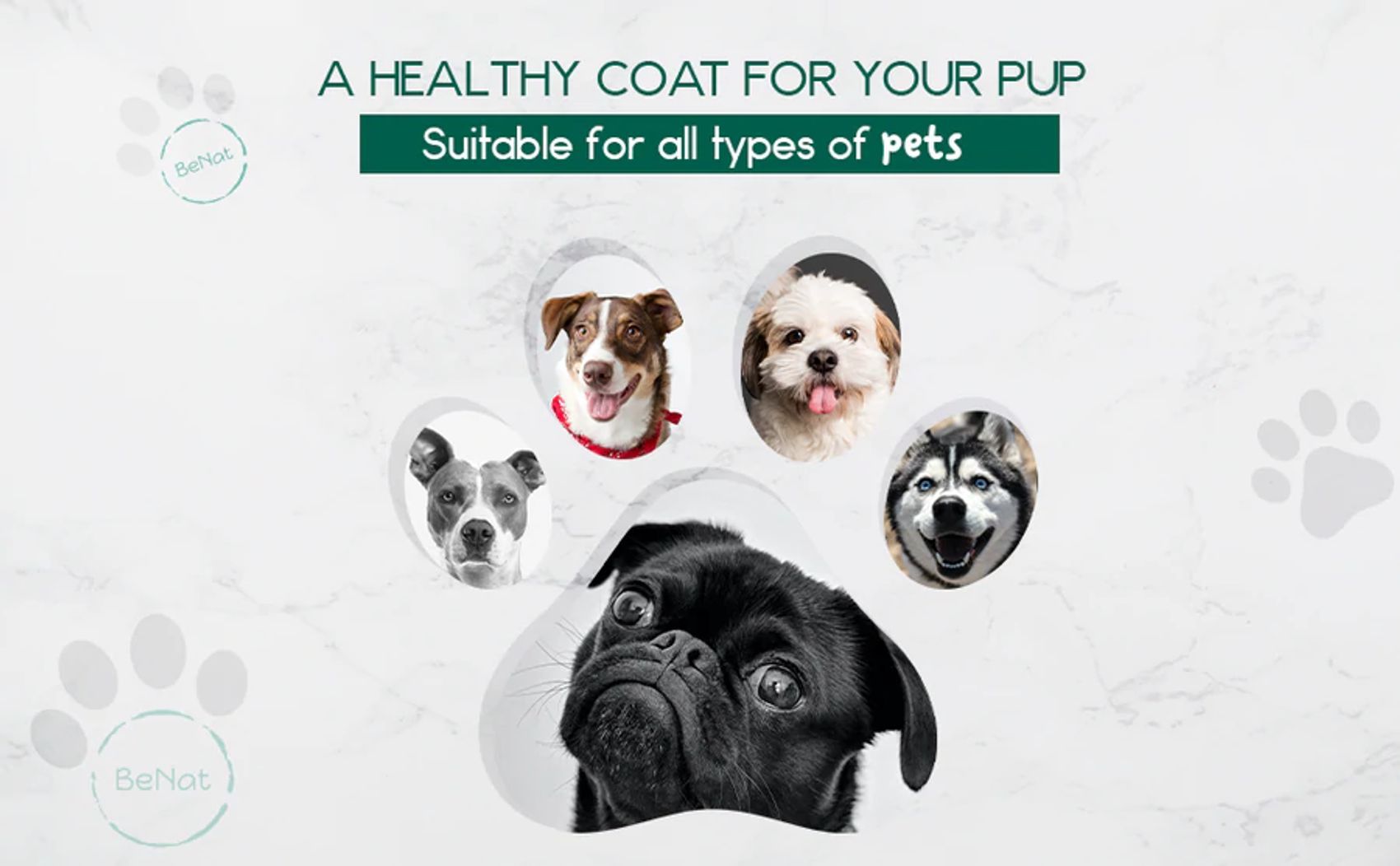BeNat Pets. All-Natural Pet Shampoo Bar. Oat. 5.8 oz. EasyOptionXY LLC