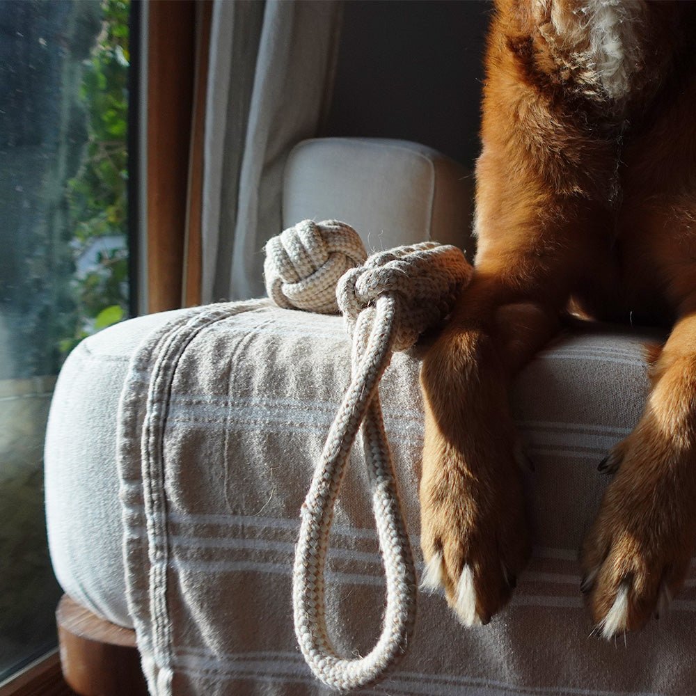 Tilley + Me Indestructible Hemp Rope Tug Toy - Sustainable and Non-Toxic Pet Toy Tilley + Me