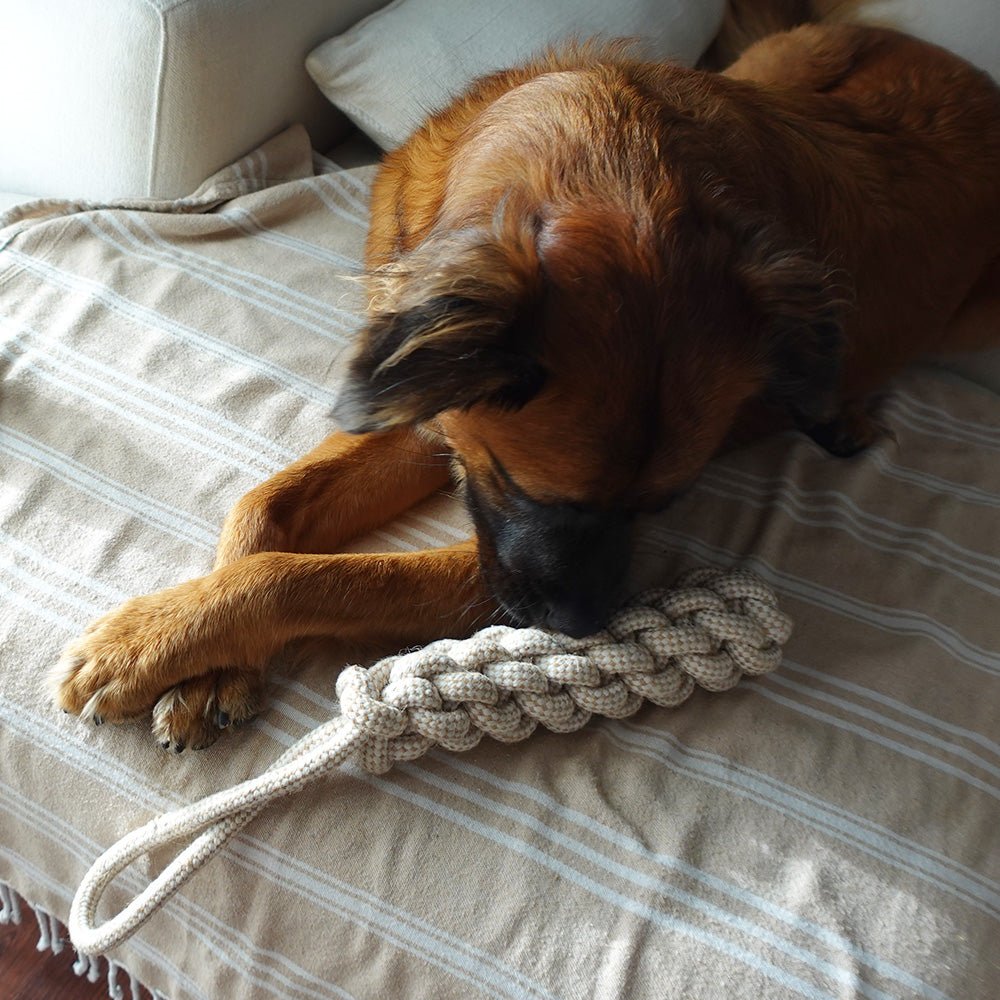 Tilley + Me Indestructible Hemp Rope Tug Toy - Sustainable and Non-Toxic Pet Toy Tilley + Me