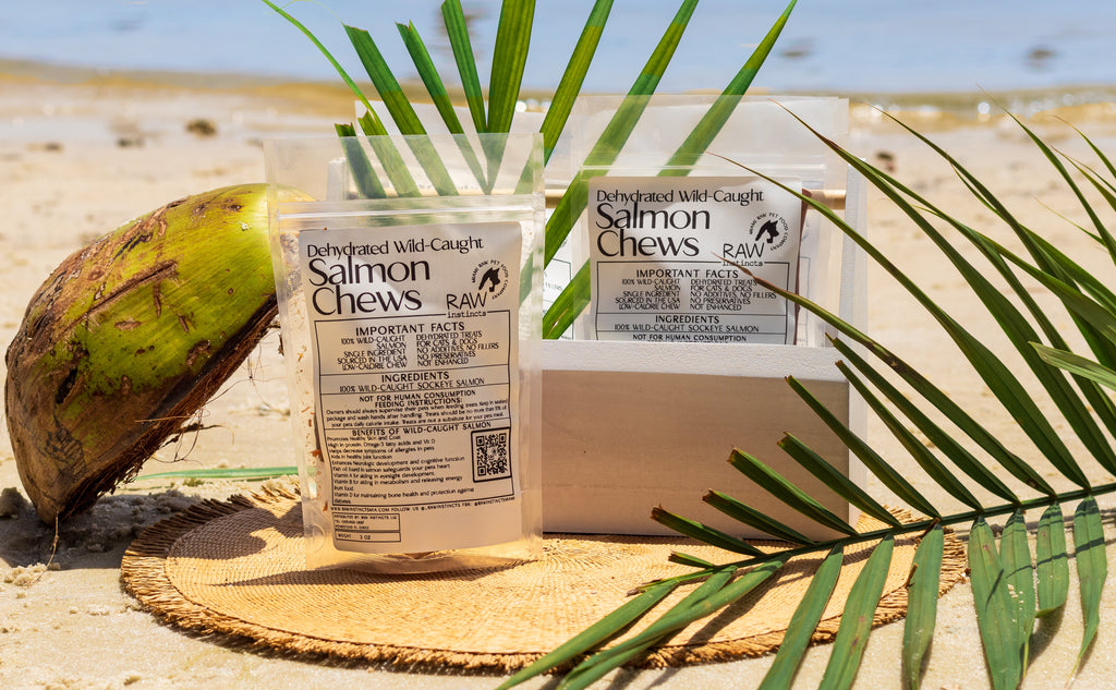 Wild-Caught Salmon Chews – 2oz | Raw Instincts | Omega-Rich Treat for Cats & Dogs